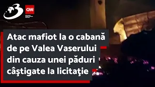 Atac mafiot la o cabană de pe Valea Vaserului din cauza unei păduri câştigate la licitaţie