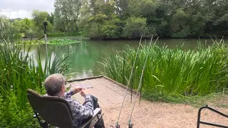 The Traditional British Summer Fish - and it’s GREEN?!