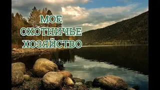 МОЕ ОХОТНИЧЬЕ ХОЗЯЙСТВО, ДИКИЕ ЗВЕРИ, СОЛОНЕЦ.