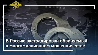 Ирина Волк: В Россию экстрадирован обвиняемый в многомиллионном мошенничестве