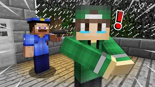 ПОЛИЦИЯ НЕОЖИДАННО АРЕСТОВАЛА МЕНЯ В МАЙНКРАФТ | Риколит Minecraft