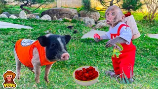 How monkey YiYi and Ủn Ỉn piglet care and love each other