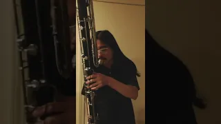 playing the contrabass clarinet as incorrectly as possible
