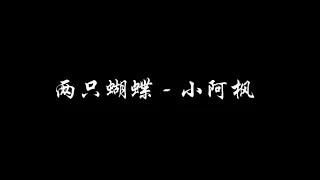 两只蝴蝶 小阿枫 字幕音乐