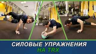 Силовые упражнения на  TRX #trx  #силовыеупражнения