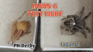 Spider Fight Japan vs Philippines / shoutouts