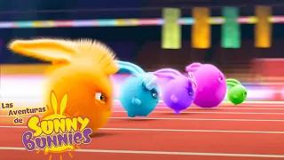 Carrera de súper velocidad - Las Aventuras de Sunny Bunnies | Dibujos animados para niños