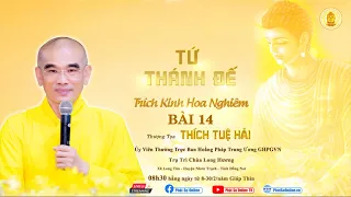 "TỨ THÁNH ĐẾ" Bài 14 (Trích Kinh Hoa Nghiêm) - TT. Thích Tuệ Hải - Chùa Long Hương