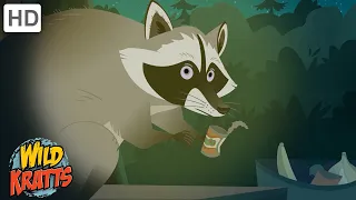 Amazing Adaptations Part 5 | How Animals Survive in the Wild | Wild Kratts