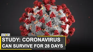 Study: Coronavirus can last 28 days on glass, currency | COVID-19 Outbreak | World News