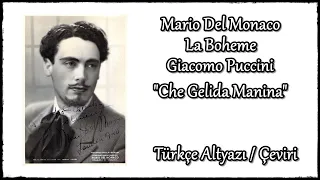 G. Puccini - La Bohème - Che Gelida Manina Türkçe Çeviri / Altyazı