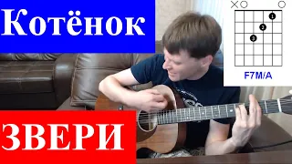 Звери - Котенок аккорды 🎸 кавер табы как играть на гитаре | pro-gitaru.ru