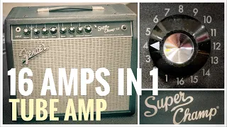 Fender Super Champ X2 - Actually sounds like 16 different TUBE AMPS!