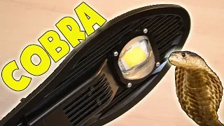 BEST STREET LAMP COBRA / COBRA