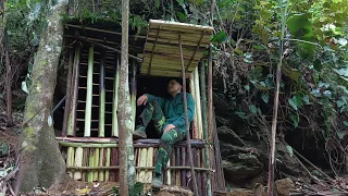 survive making shelters with banana trees in the tropical forest, making traps to catch birds