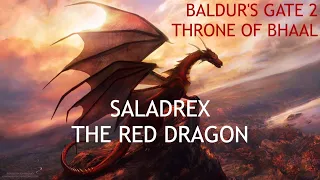 Baldur's Gate 2 - Evil Party x Saladrex - The Red Dragon