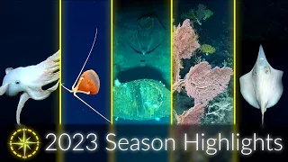 2023 Expedition Season Highlights: Deep Sea Science and Collaboration | Nautilus Live