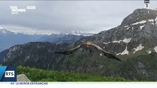 Le 64' - L'actualité du dimanche 02  juin 2024 dans le monde - TV5MONDE