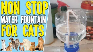 HERON'S FOUNTAIN Diy Non Stop Water Fountain For Cats 😍😍 | DIY In 2020