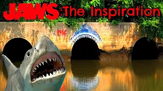 JAWS: The Location That Inspired The Film!!