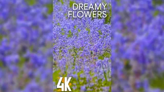 4K Beautiful Relaxing Vertical Video for Tablets & iPhones - 2HRS Dreamy Wild Flowers + Buzzing Bees