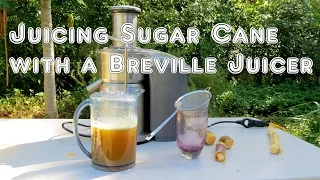 How to Juice Sugar Cane with a Breville Juicer