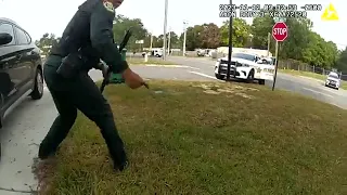 Florida deputy fires gun at patrol car with person inside after mistaking acorn for gunshot