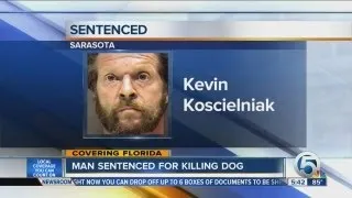 Man sentenced for killing dog