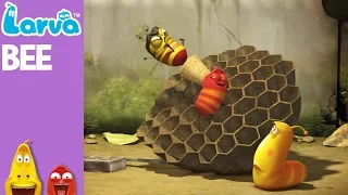 [Official] Bee - Mini Series from Animation LARVA