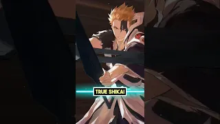 This is Ichigo's TRUE SHIKAI! Ichigo Kurosaki True Shikai Explained [Bleach] [Ace Onii]