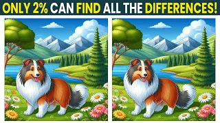Spot the Difference: This Is So Hard!
