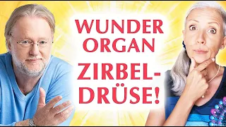 Das WUNDER "ZIRBELDRÜSE" ☀️ Wichtiges SPECIAL mit Dieter Broers - Tipps & Inspirationen