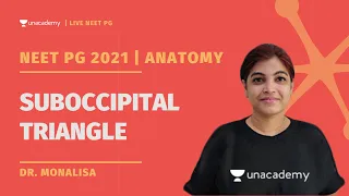 Suboccipital Triangle | Anatomy High Yield Topics | Dr. Monalisa