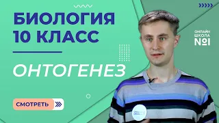 Урок 21. Онтогенез. Типы и периоды. Биология 10 класс