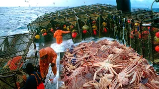 Amazing King Crab Catching, Caught Hundreds of tons of King Crab on a Modern Boat