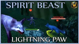 Taming Lightning Paw (Spirit Beast) World Of Warcraft!