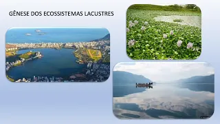 Ensino Superior - Gênese dos Ecossistemas Lacustres (Limnologia)