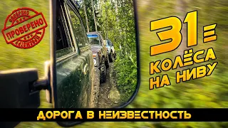 31 колёса на Ниву. ДОРОГА в НЕИЗВЕСТНОСТЬ
forward safari 500
Оффроад Карелия