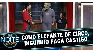 The Noite (10/12/14) - De elefante de circo, integrante paga castigo