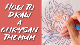 Episode 11: How to draw a CHRYSANTHEMUM