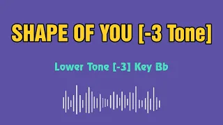 Ed Sheeran Shape of you Karaoke 12 tones _ Lower tone -3 _ Key Bb