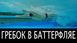 САМЫЙ ТЯЖЕЛЫЙ СТИЛЬ МОЖЕТ СТАТЬ ЛЕГКИМ, КАК ЭТО СДЕЛАТЬ? @Swimmate.ru