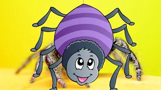Itsy Bitsy Spider - Popular Nursery Rhyme for Kids | Sing-Along and Learn