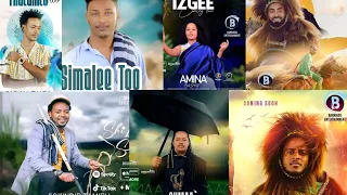 New  Best 2022 Oromo music Collection By [DJ OMEGA] #Voll4 #New