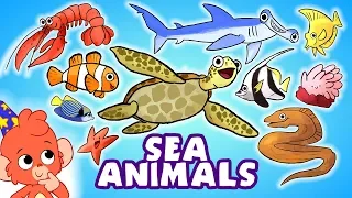 Learn Sea Animals for Kids | Ocean animals names cartoon | Club Baboo