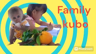 Kubo monkey and his sister color and eat fruit so sweetly # video family