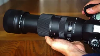 Sigma 100-400mm f/5-6.3 DG HSM 'C' lens review (Full-frame & APS-C)