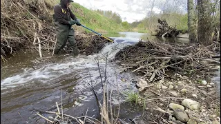Beaver Dam Removal || Canal free to flow!