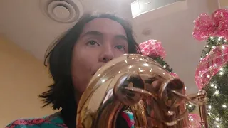 Sleigh Ride but it's a Slay Ride (bari sax POV)