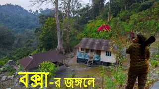 Exploring Buxa Tiger Reserve. Detail Story about Dobana Homestay, Santalebari to Buxa Fort in Bangla